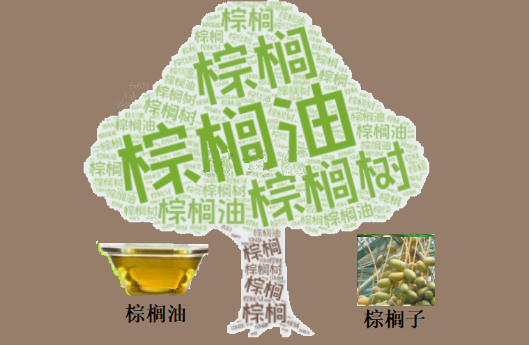 大连豆油反弹提振下,棕榈油高库存困局待解